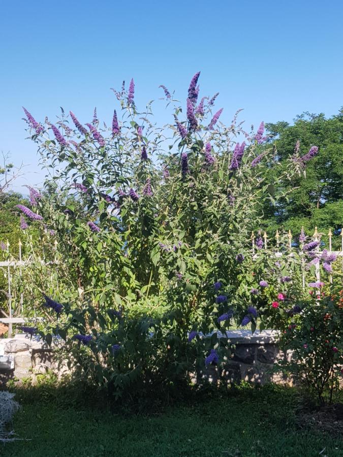 Apartmani Adria Opatija Luaran gambar