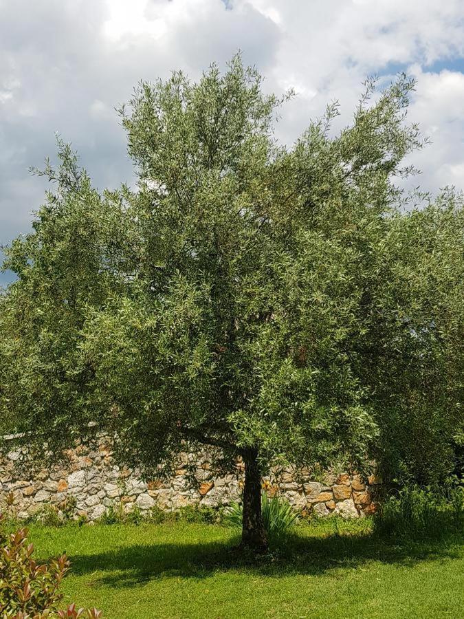 Apartmani Adria Opatija Luaran gambar