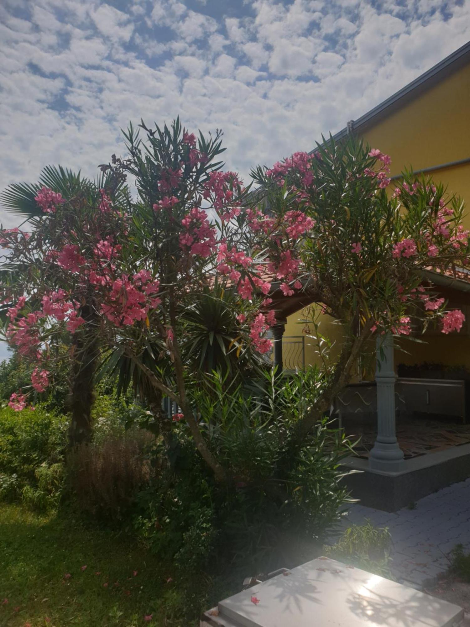 Apartmani Adria Opatija Luaran gambar